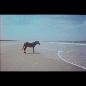 Meet your Posher, Aidan